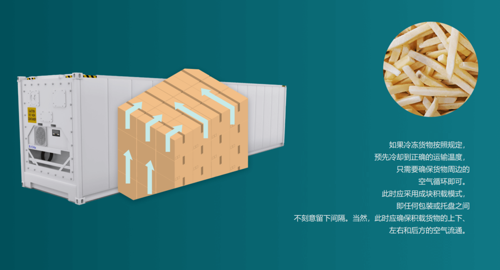 什么是冷藏集装箱？冷藏集装箱的工作原理及价格指南 [2024]